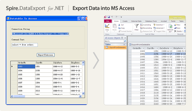 Export Data into MS Access