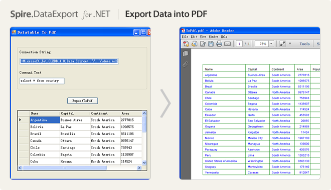 Export Data into PDF