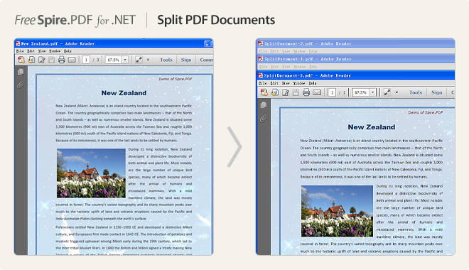 Split PDF documents