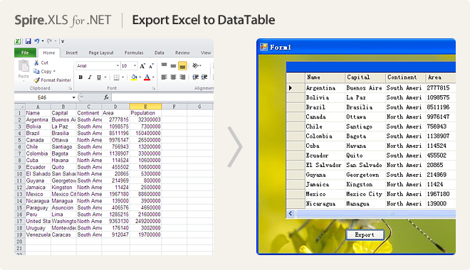 Export Excel to DataTable