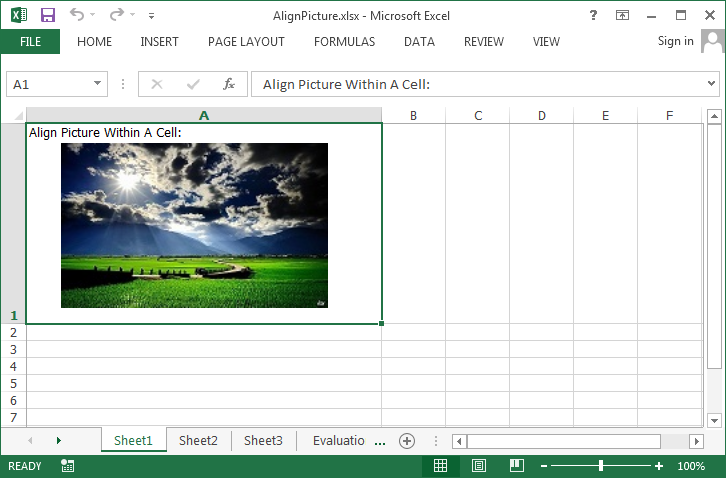 How to Align a Picture within a Cell in C#, VB.NET
