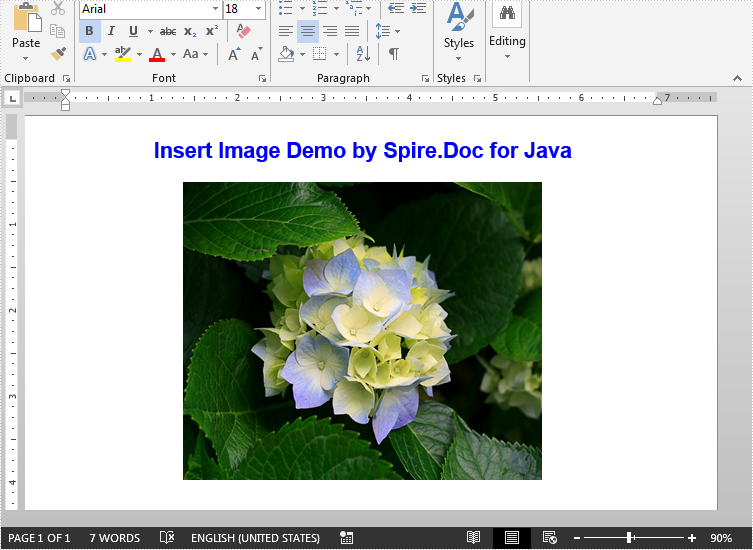 Insert Image into Word Document in Java