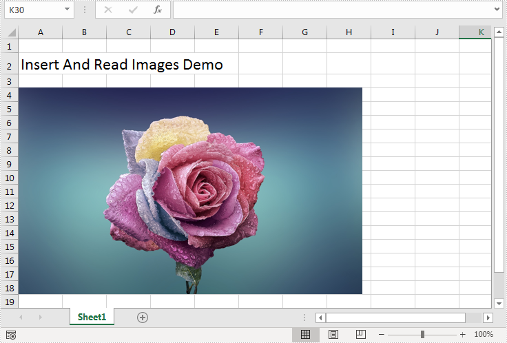 Insert and Extract Image in Excel in Java