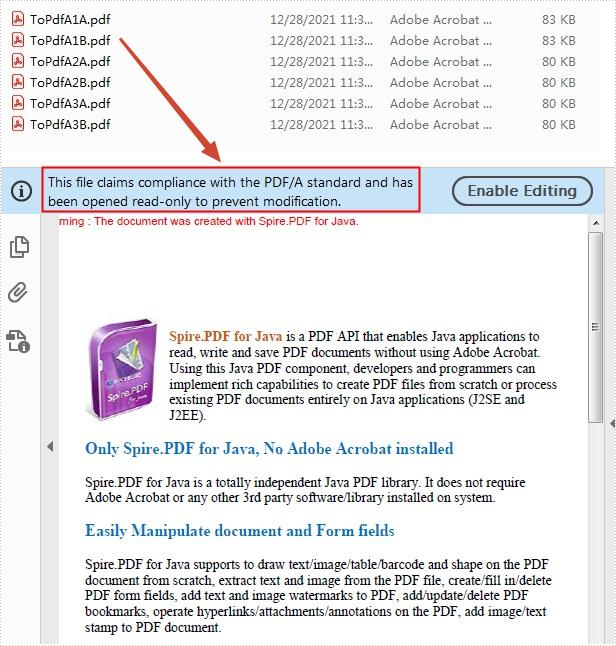 Java: Convert PDF to PDF/A