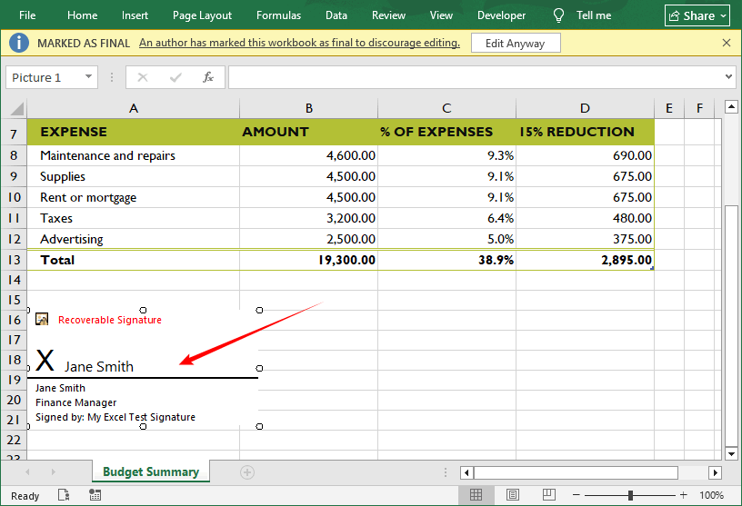 Рабочий лист Excel, содержащий видимую строку подписи с подписанным именем.