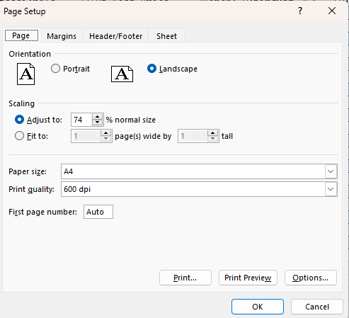 Page orientation set to landscape with Spire.XLS for JavaScript