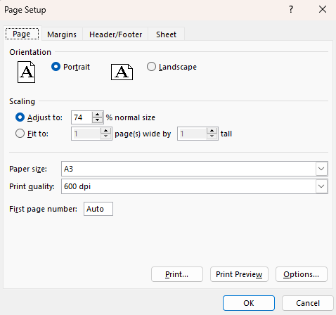 Paper size set to A3 with Spire.XLS for JavaScript
