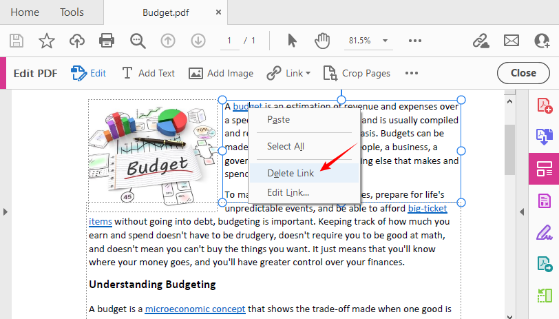 Right-click menu in Adobe Acrobat Pro showing Delete Link option