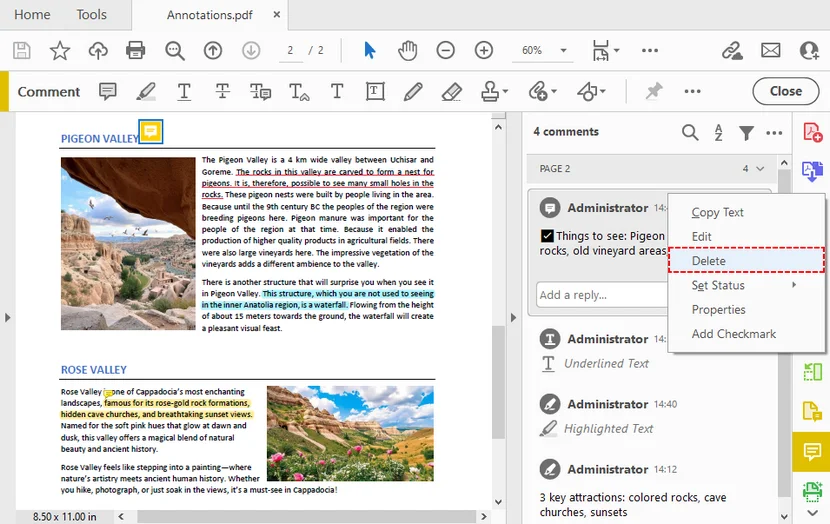 Comments sidebar showing PDF annotations ready for deletion