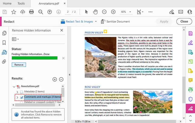 Acrobat sanitize‑document interface selecting comments and markups for removal