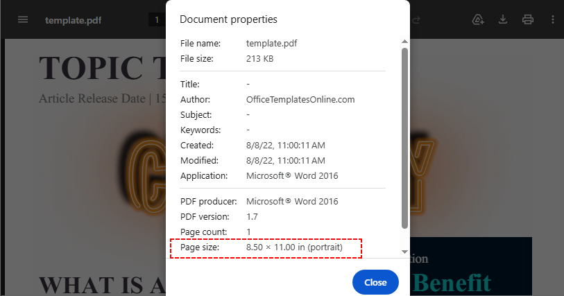 Panel emergente de Propiedades del documento de Chrome que contiene información sobre el tamaño de la página