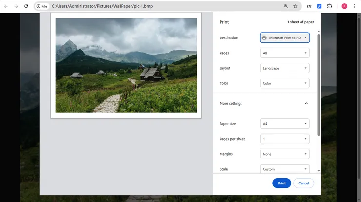 Convert BMP to PDF Using PDF Printer