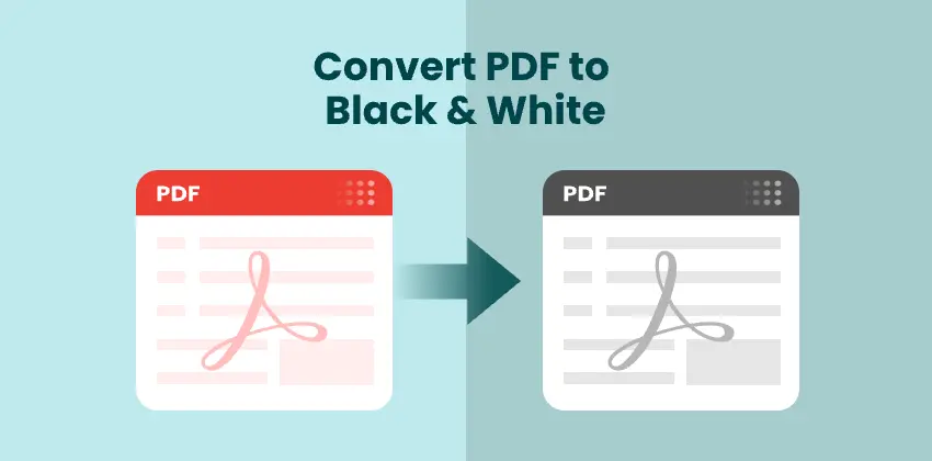 Converti PDF in Bianco e Nero