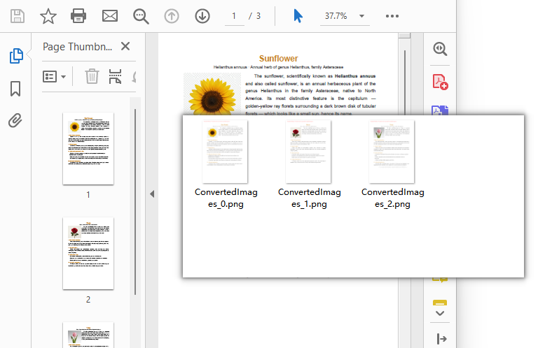 Each page of the PDF exported as a PNG image via SaveAsImage and bundled into a ZIP file for download