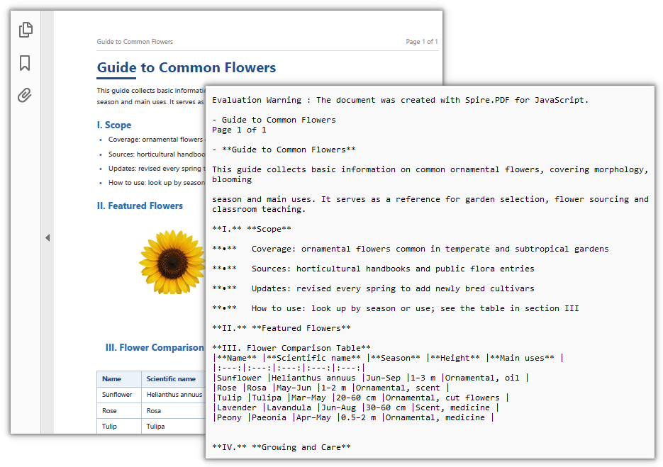 Conversion result with text only and images skipped