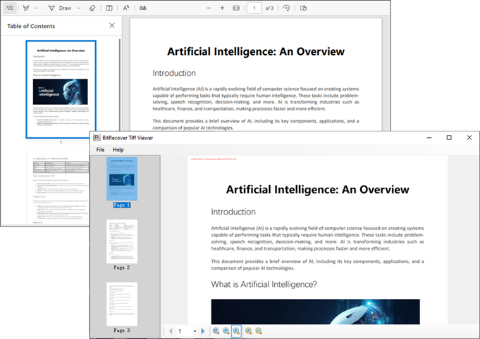 Screenshot of input PDF document and output Tiff file.