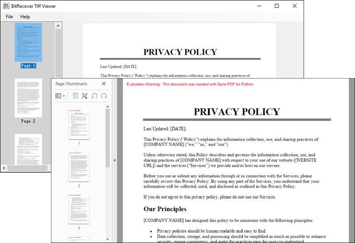Screenshot of the input TIFF file and output PDF document.
