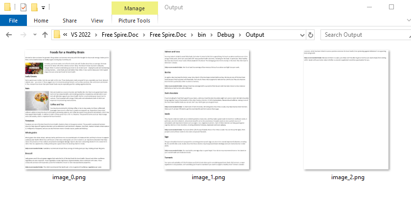 The PNG images converted from an HTML file via C#