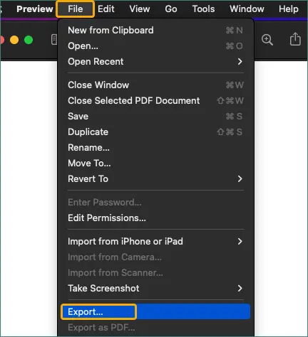 Fai clic su File e poi Esporta in Anteprima