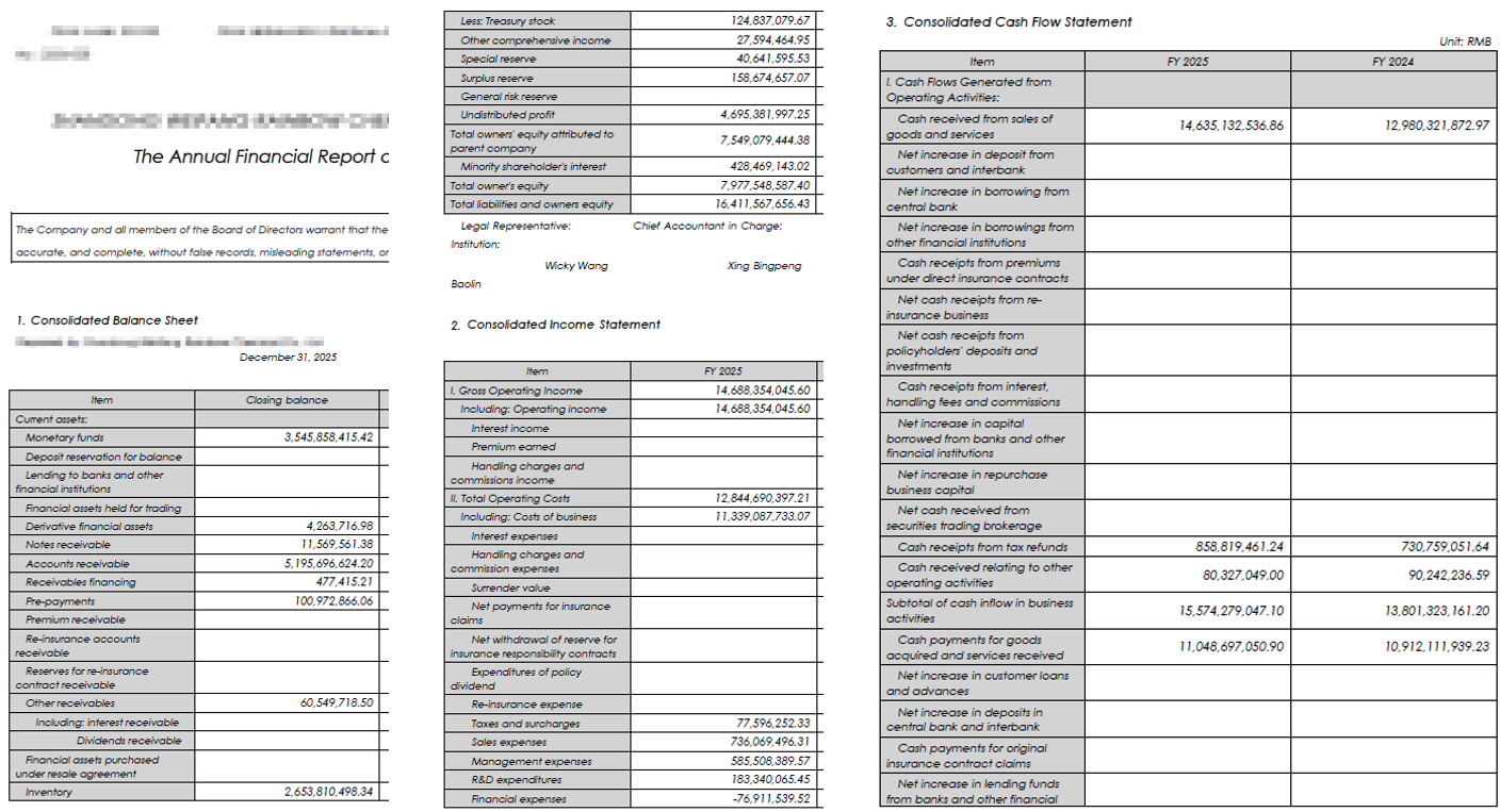 Input: PDF Financial Report