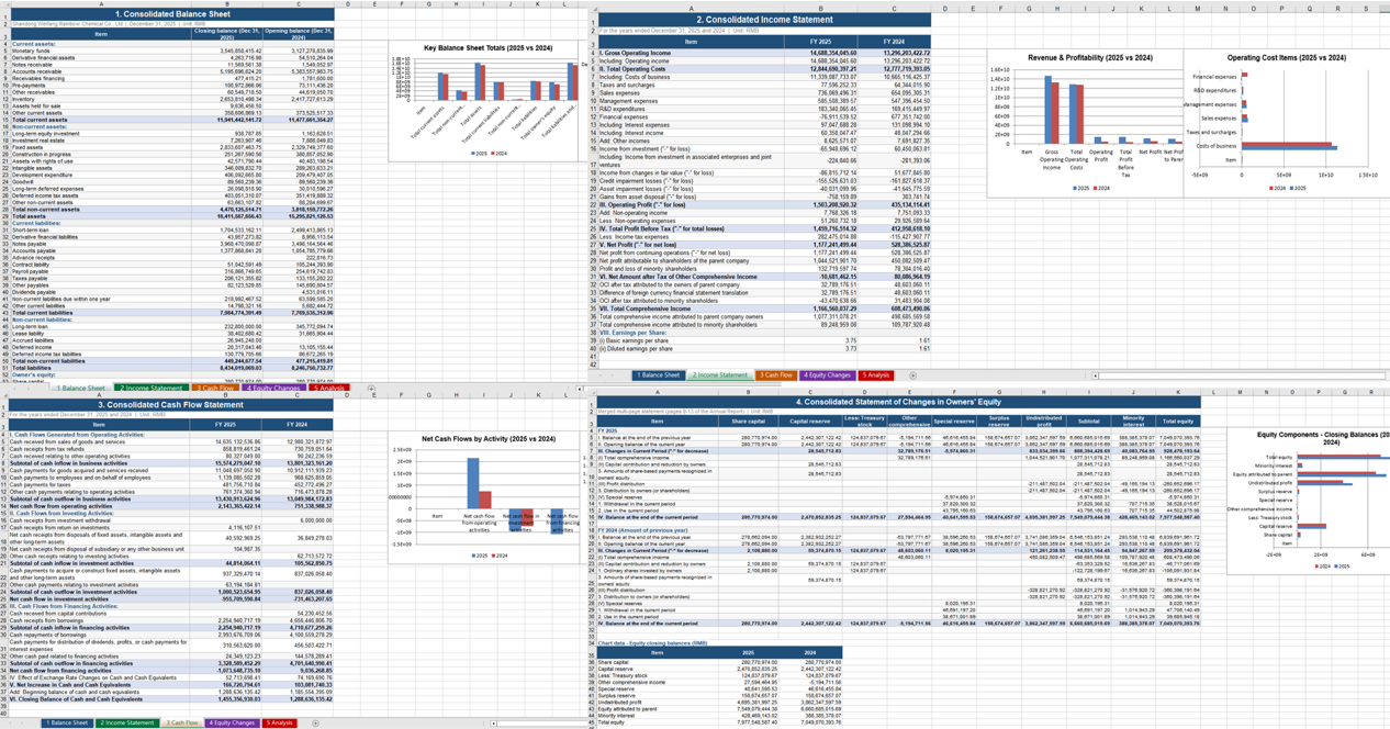 Extracted Financial Data and Charts