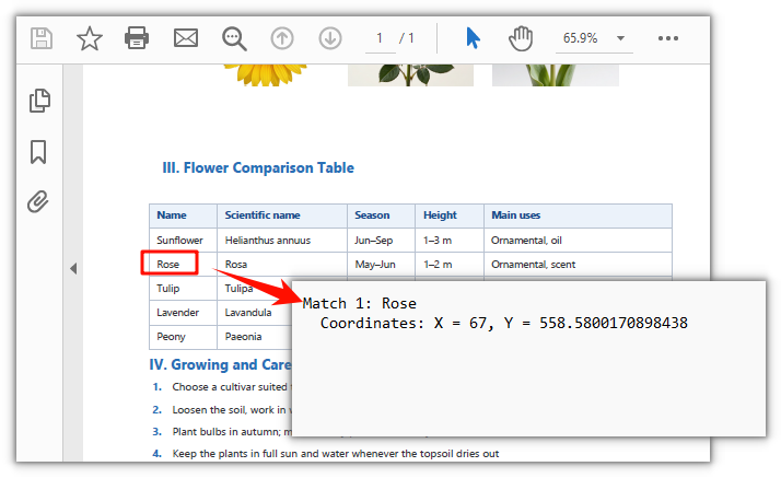 Coordinates of the matched text