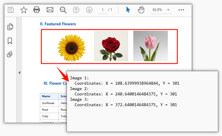 Coordinates of the three flower images on the page