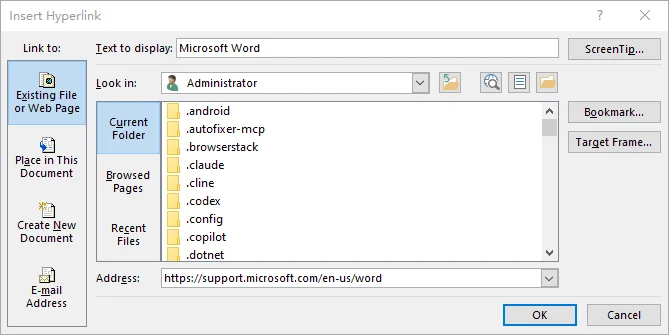Microsoft Word Insert Hyperlink dialog showing the display text and website address fields