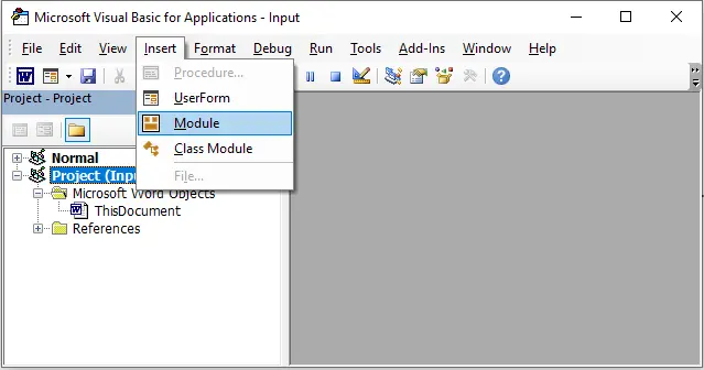Insert Module in VBA editor