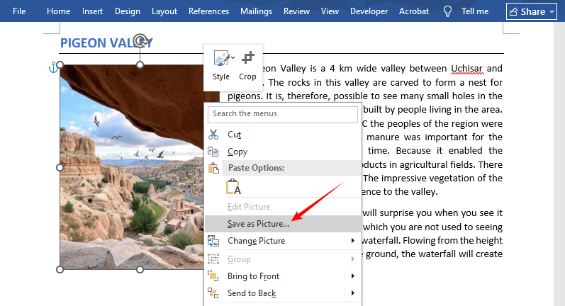 Boîte de dialogue Enregistrer en tant qu'image dans Microsoft Word