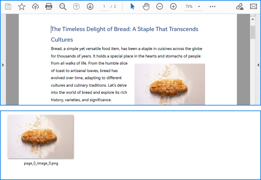 Extract Images from PDF Pages Using Java
