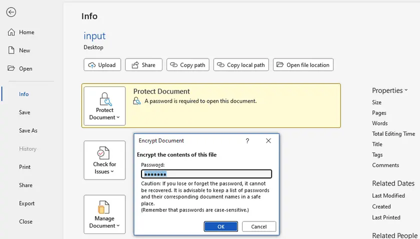 Remove Password Using MS Word