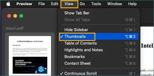 View thumbnails in Preview