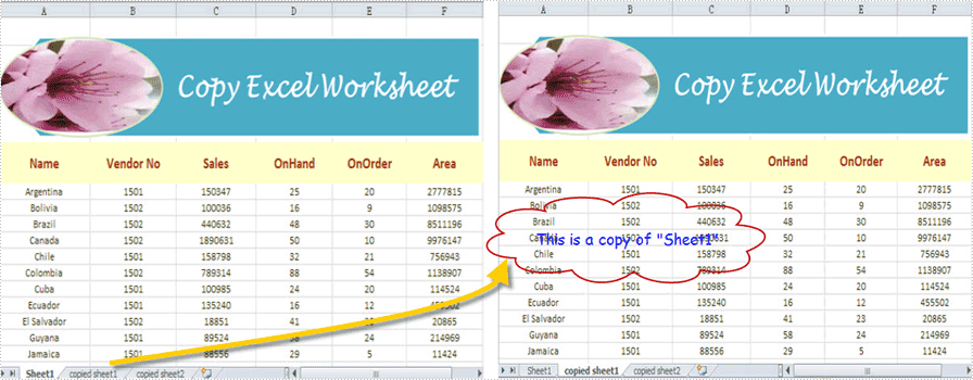 copy worksheet