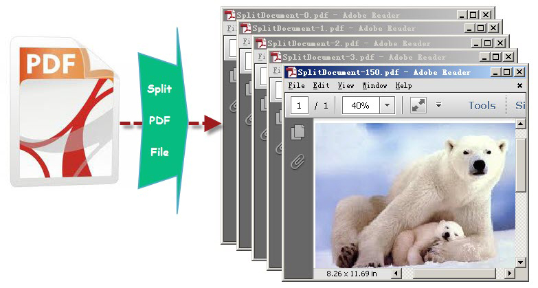 Split PDF Document
